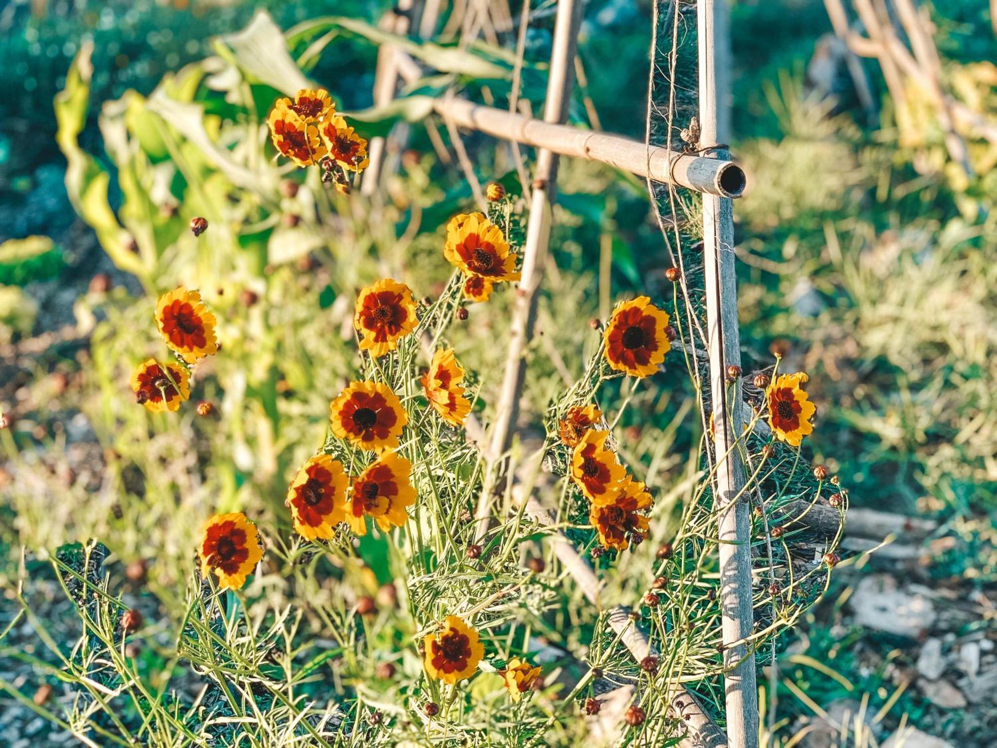 Stay At Pachamama Community Alcácer do Sal Zimmer foto